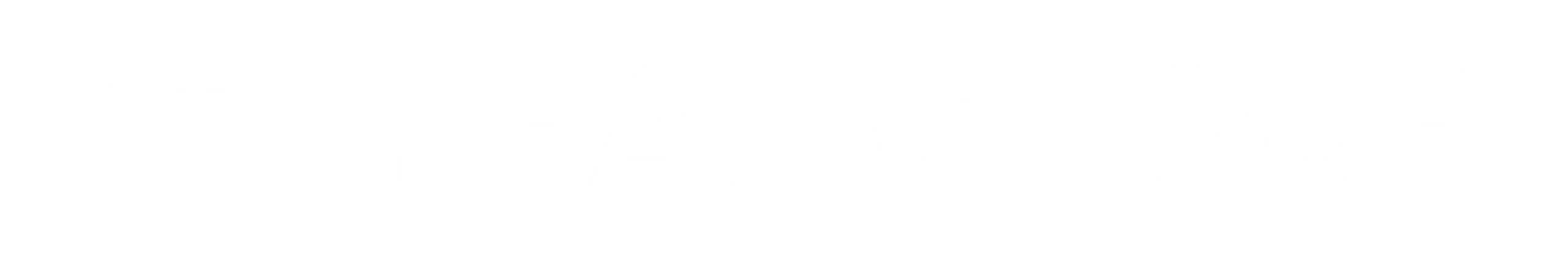 SM Pal Group